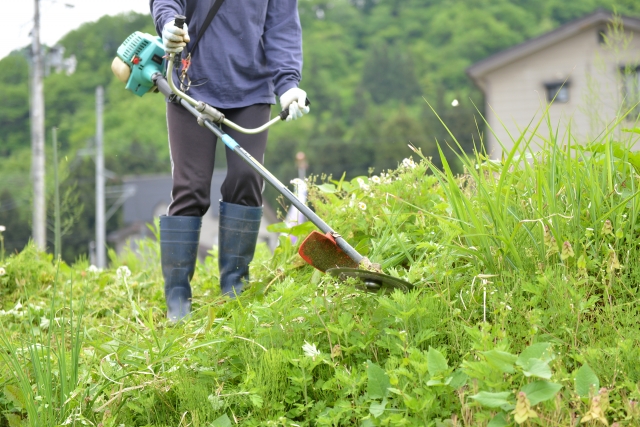 松山市で草刈りに最適な年3回の時期～楽に草刈りを終えるコツまで徹底解説