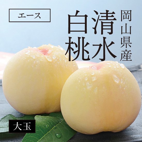 【限定1名さま】 岡山県産 清水白桃