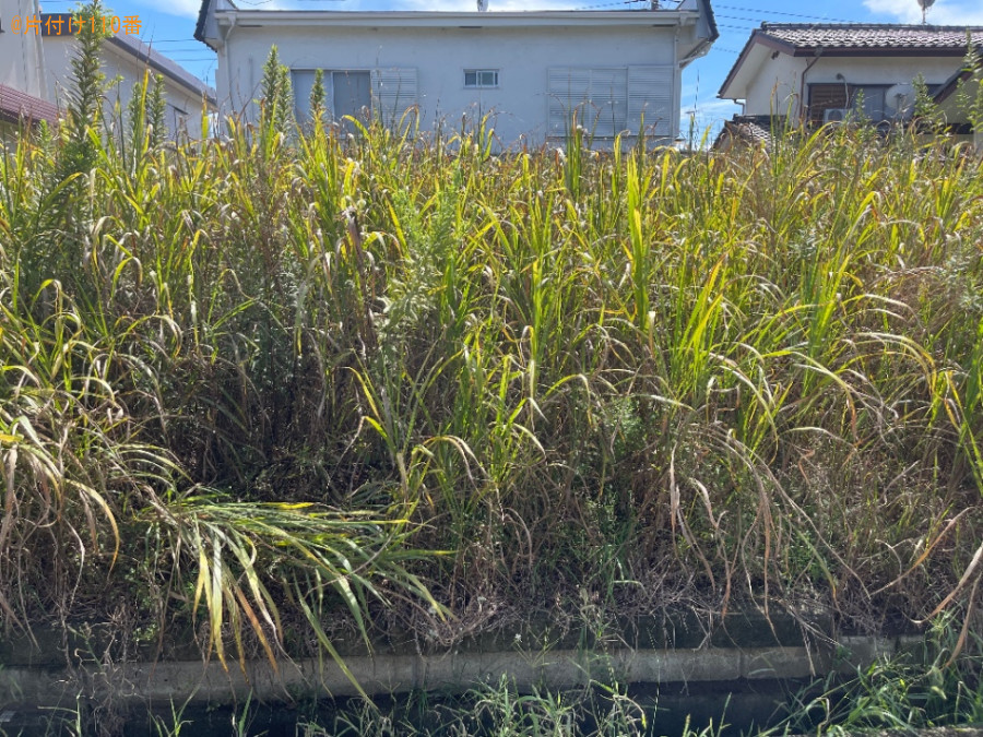 草刈り作業ご依頼　お客様の声