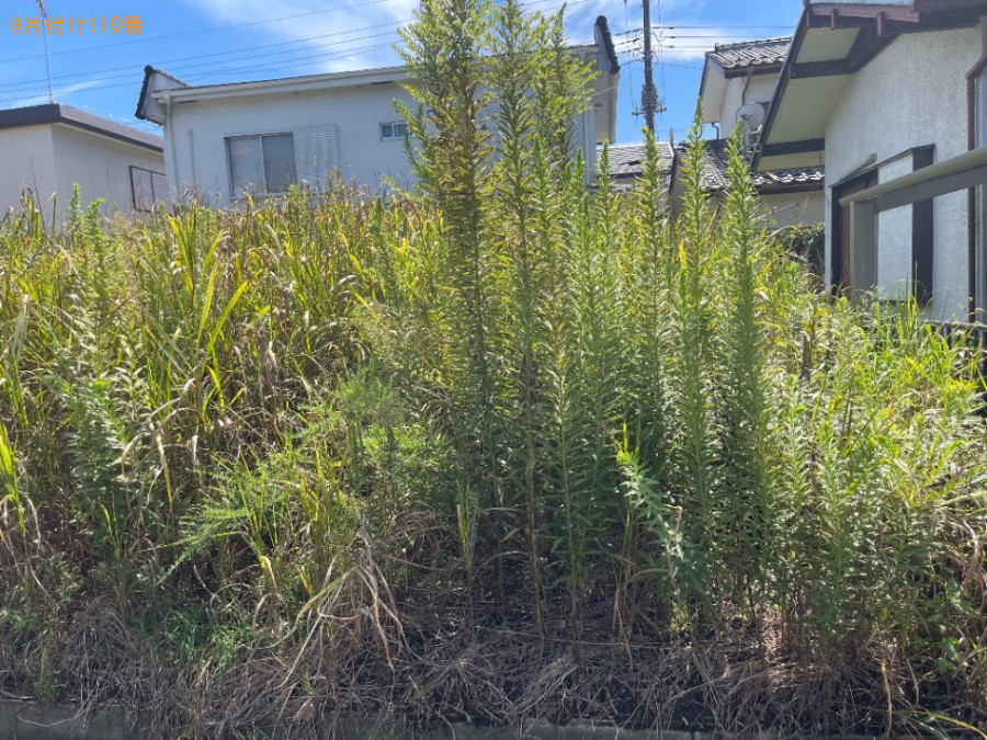 草刈り作業ご依頼　お客様の声