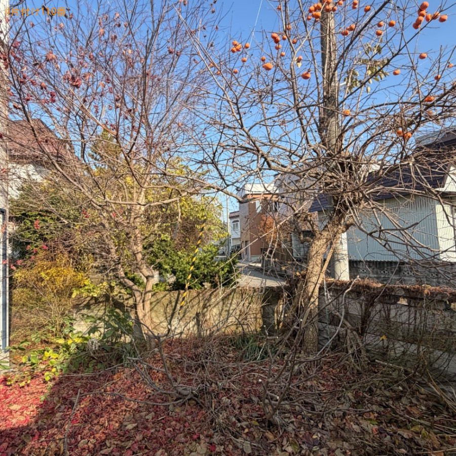 木の伐採作業ご依頼　お客様の声