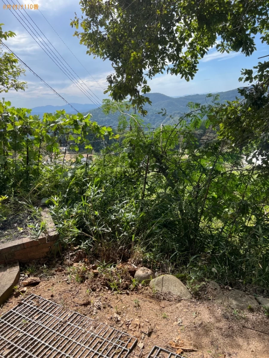 倒れた木の回収・処分ご依頼　お客様の声